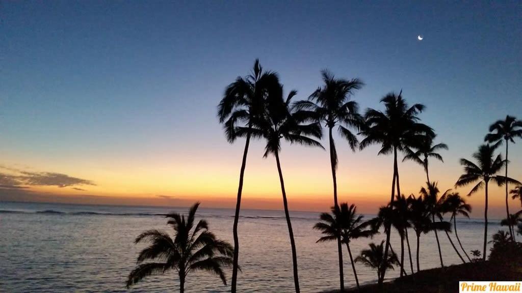 Beachfront Condo With Amazing Views Hau'ula Eksteriør billede